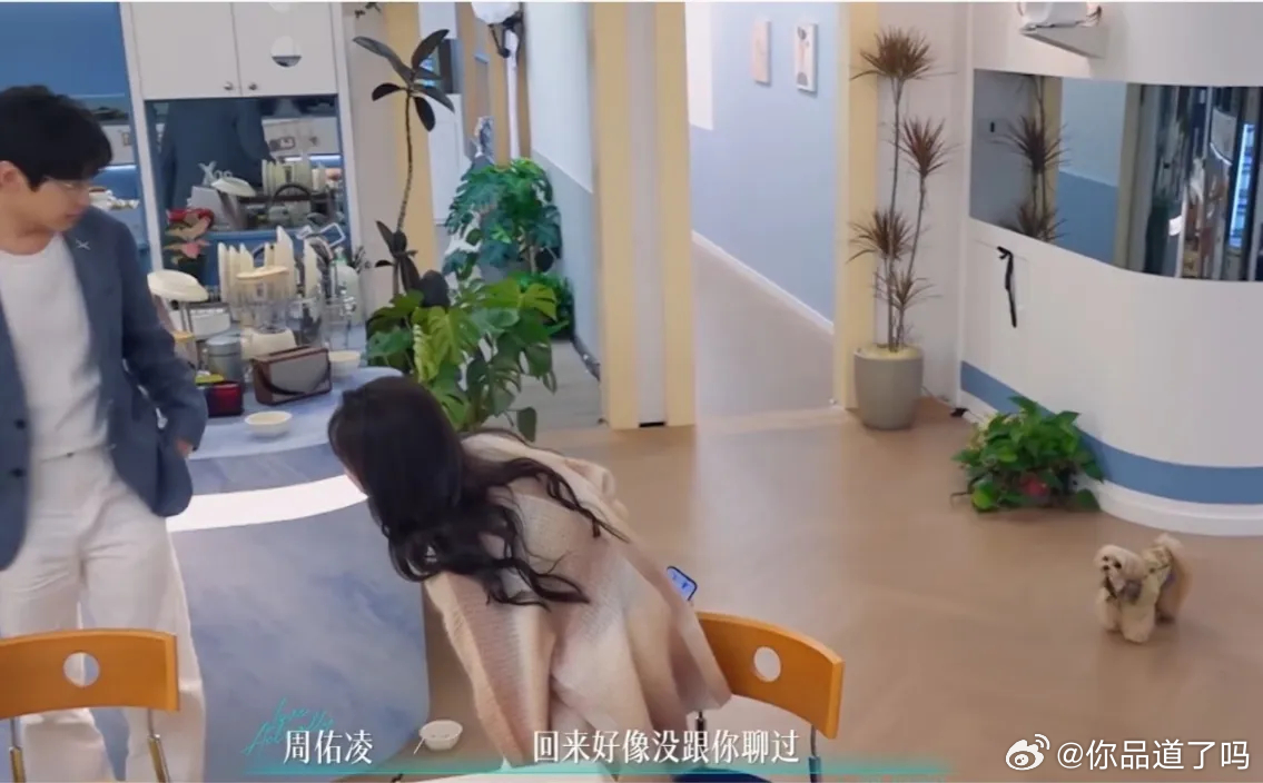 谁懂啊，周佑凌家小狗didi妥妥琪凌CP专属磕糖搭子！细节藏不住偏爱，只要丹琪出