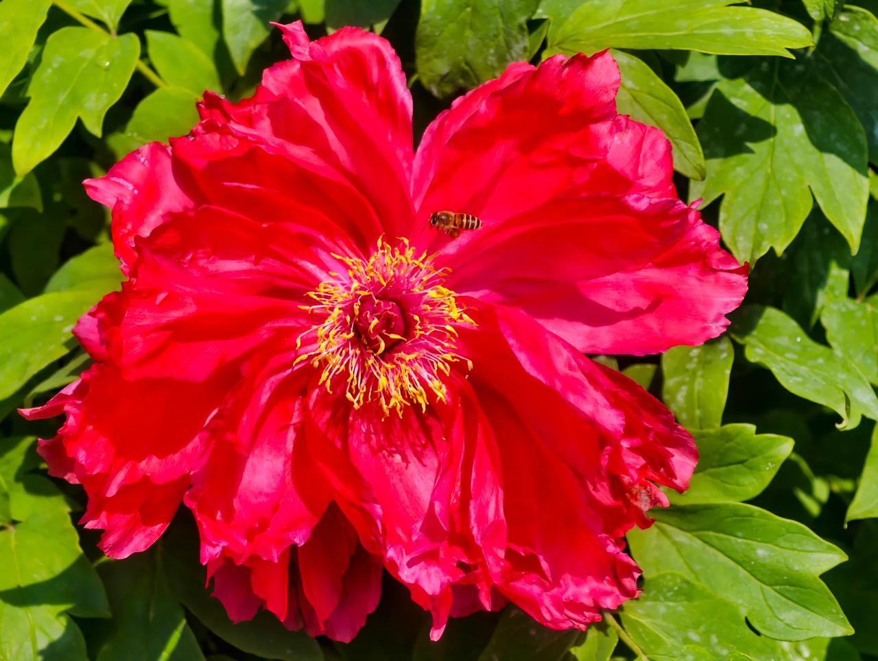 手机拍摄美不美你说了算