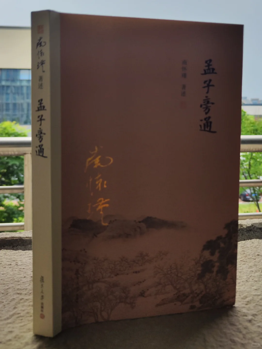 第549本：《孟子旁通》，南怀瑾之三大治愈