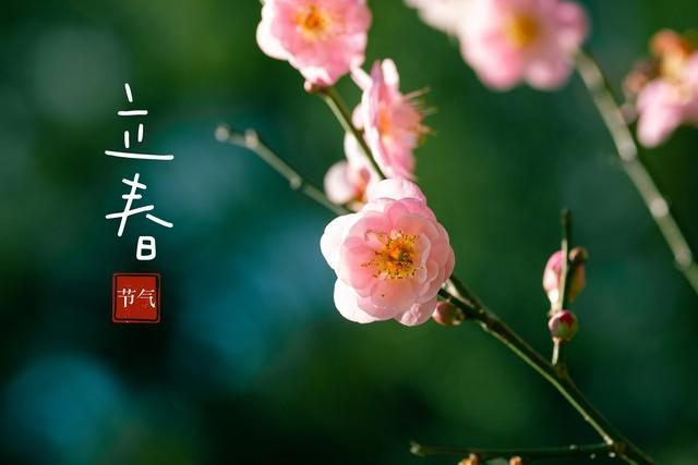 #说今年立春不吉利别自己吓自己#【评论丨立春，不是需要反复解码的命运判词】#立春