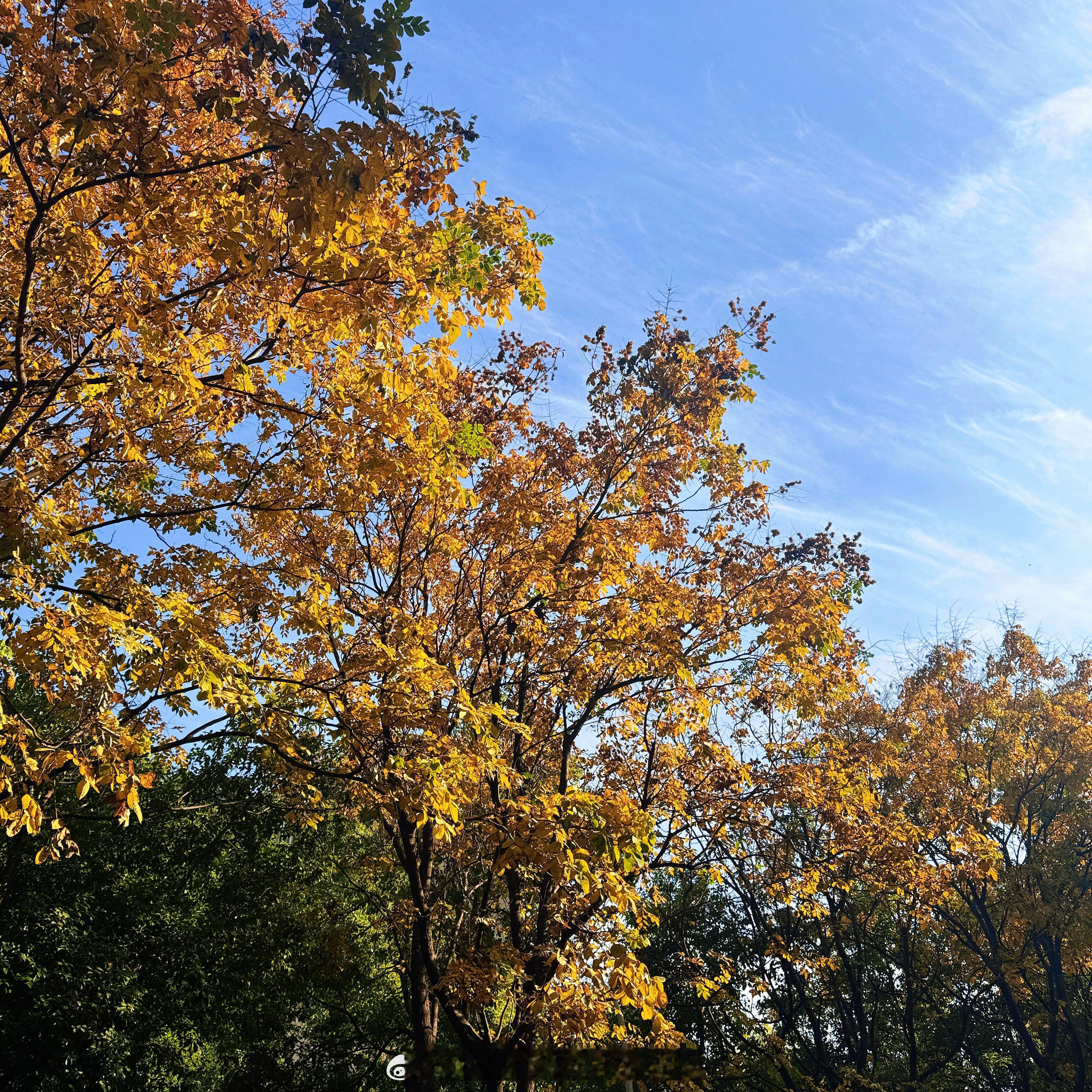 “晒晒太阳 喝喝奶茶 攒攒快乐☀️ 