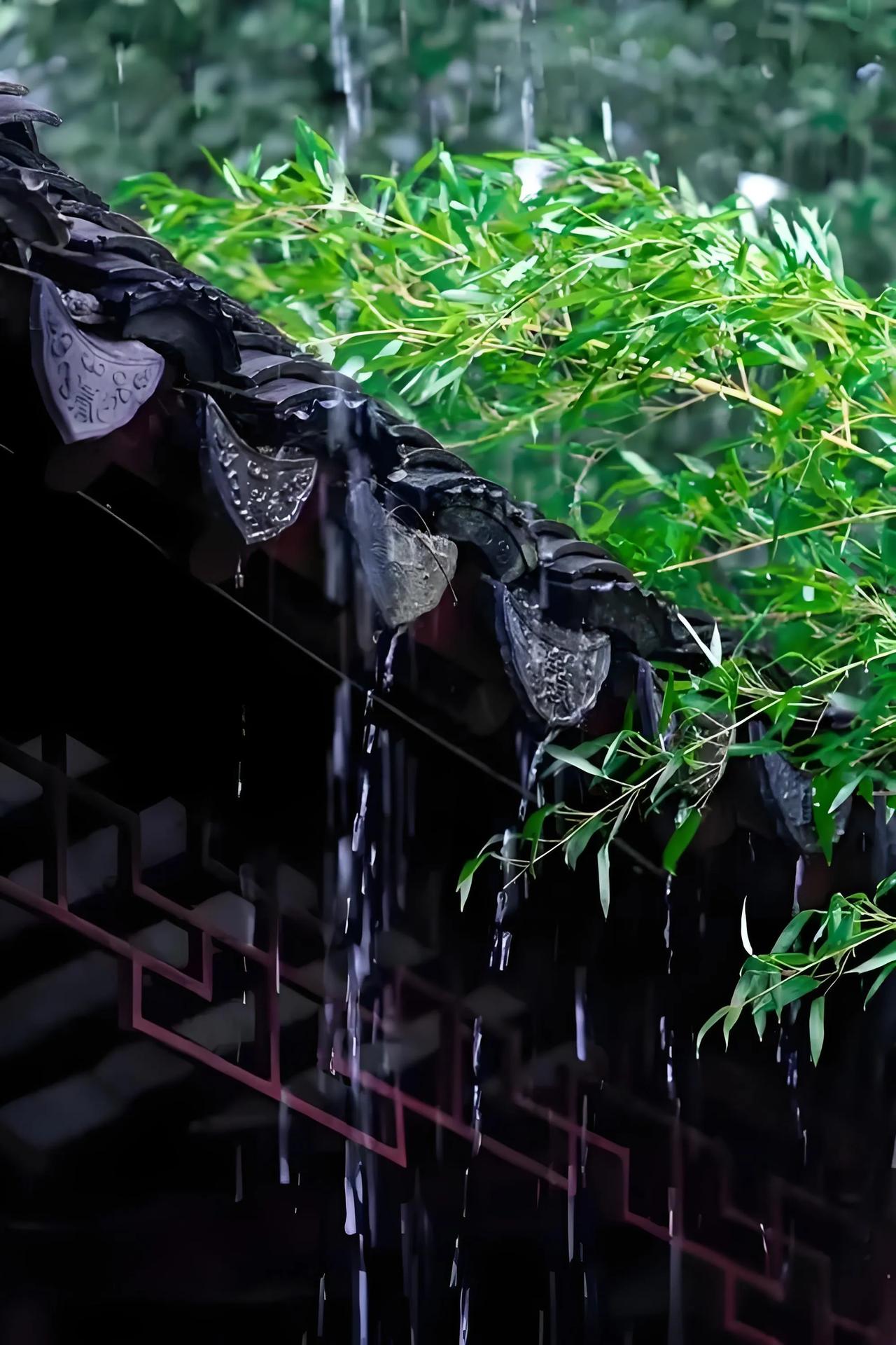 苏州的梅雨，虽有诸多小麻烦，却也是一道独特风景。梅雨季气温高、湿度大，衣服晒不干