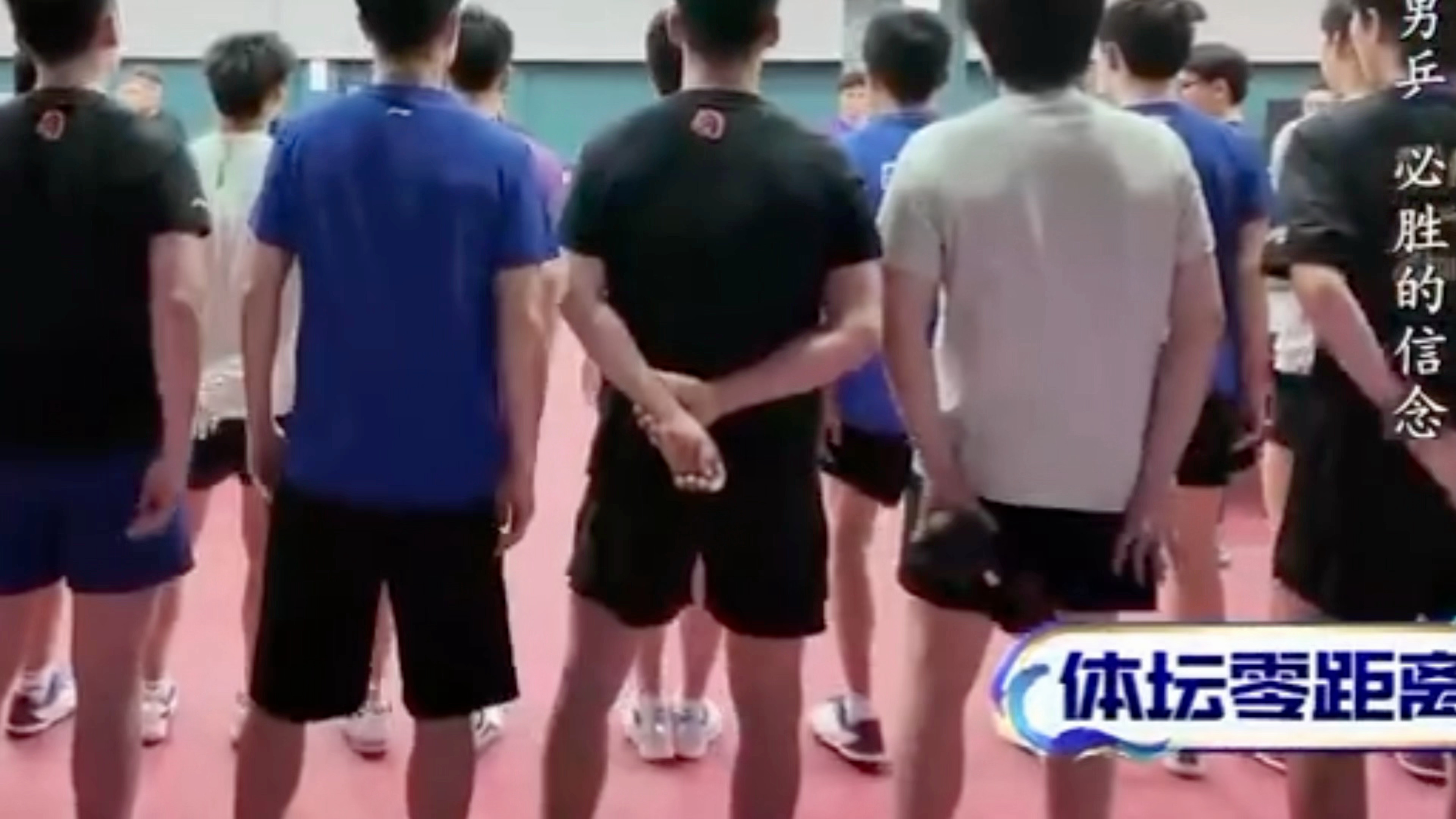 王楚钦 楚钦队长还拿着花生球呢，花生球跟着“立正”好可爱呢