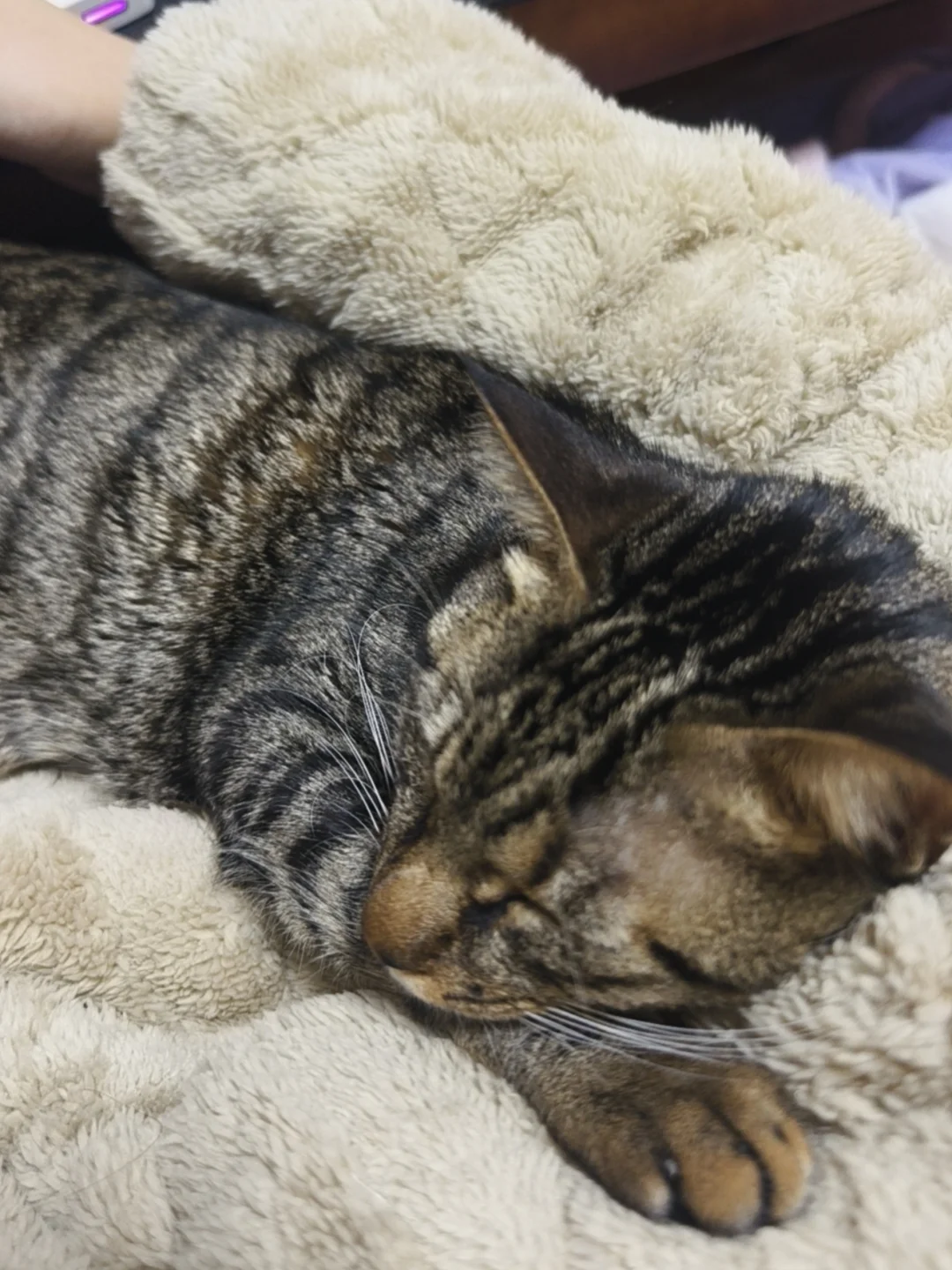 最后一个工作日，还在岗位上，但是其实现在在哪里都是一样的状态，不慌不忙...