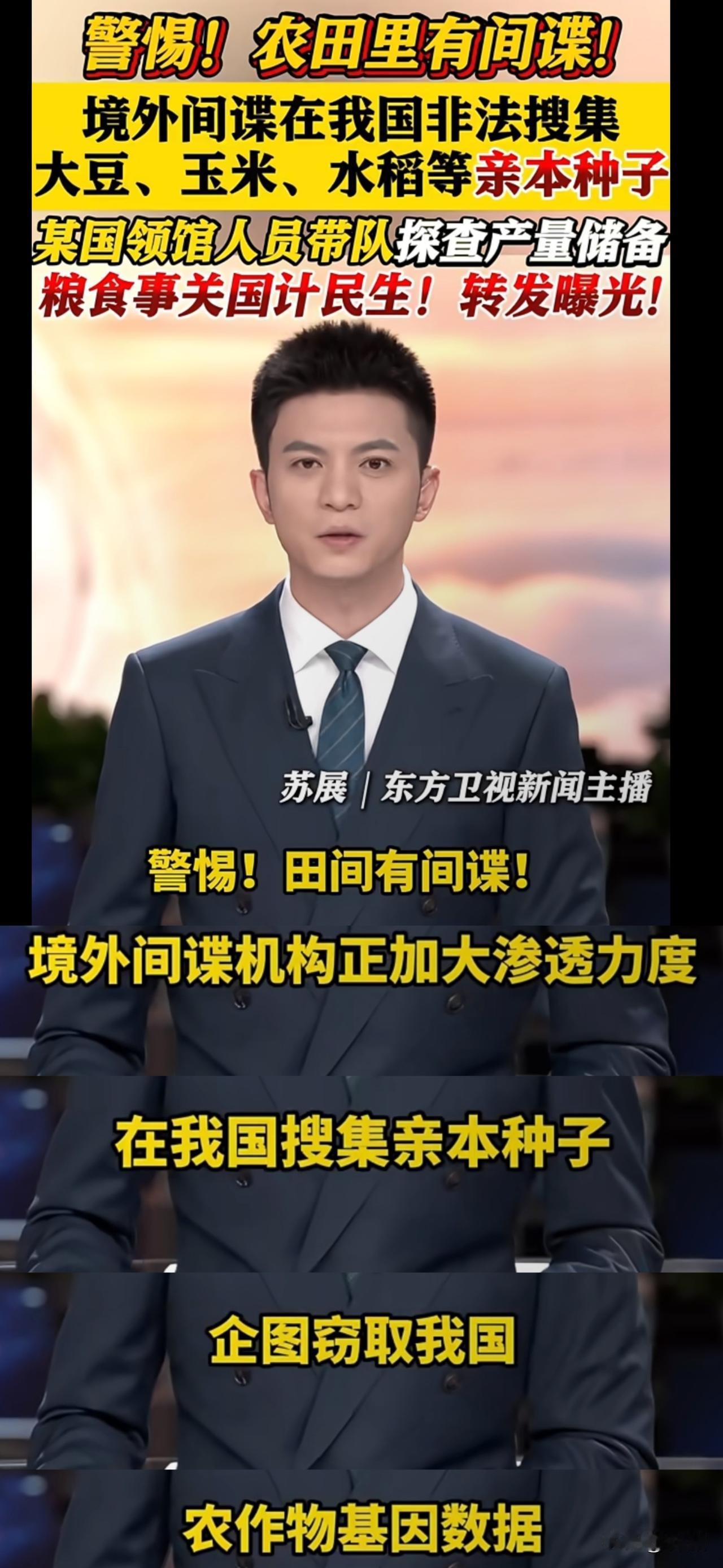 敢打我们粮食的主意，这是要动咱的根基啊，间谍黑手竟明目张胆伸向种粮主产区，这哪能