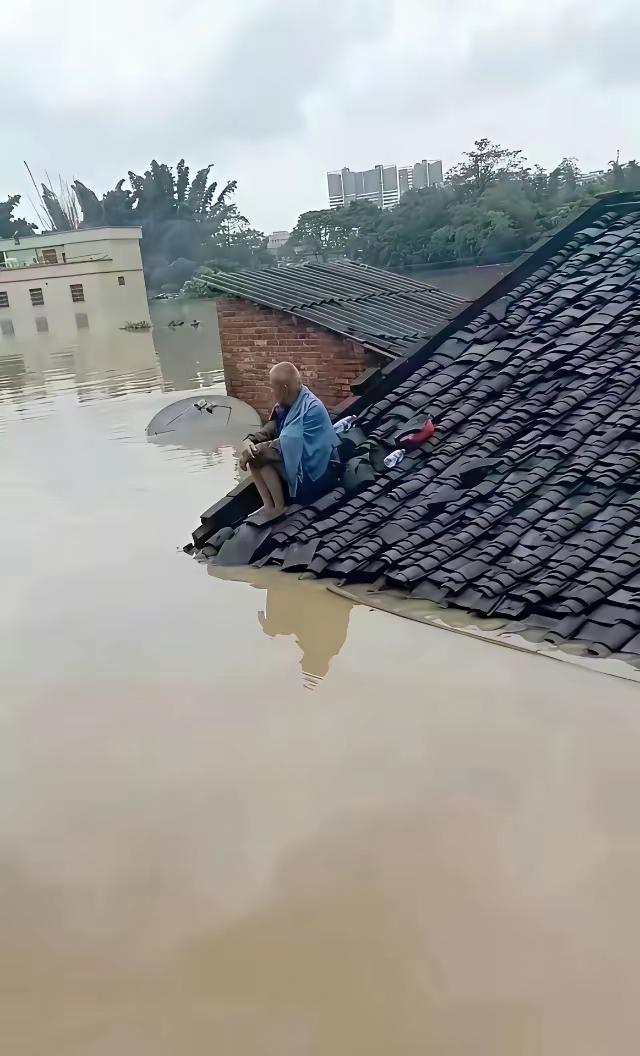 洪水漫没家园，老人独坐屋顶安然自若，临危不乱。
这份处变不惊的定力，藏着半生阅历