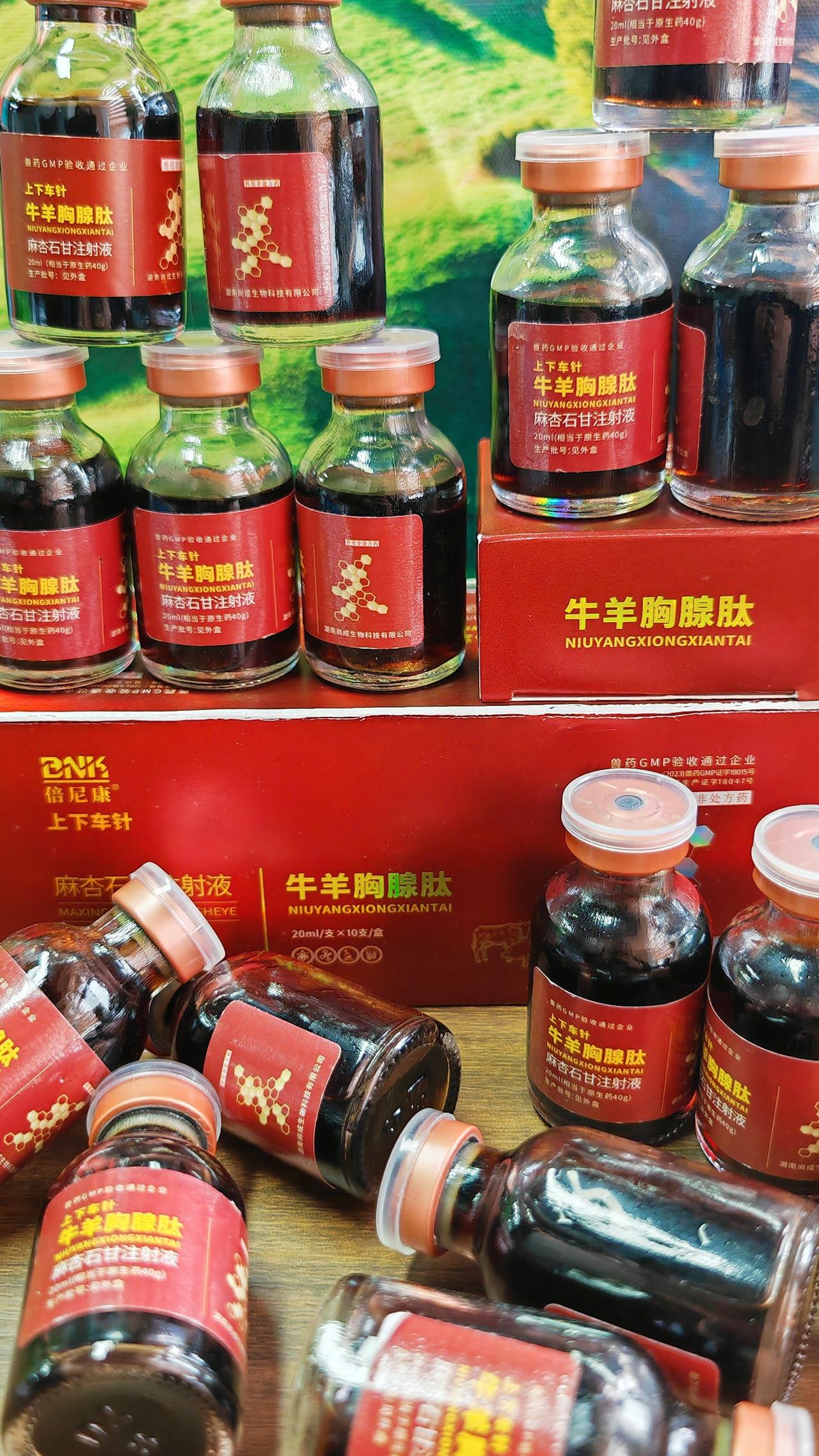 养羊人 农村养羊 牛羊养殖