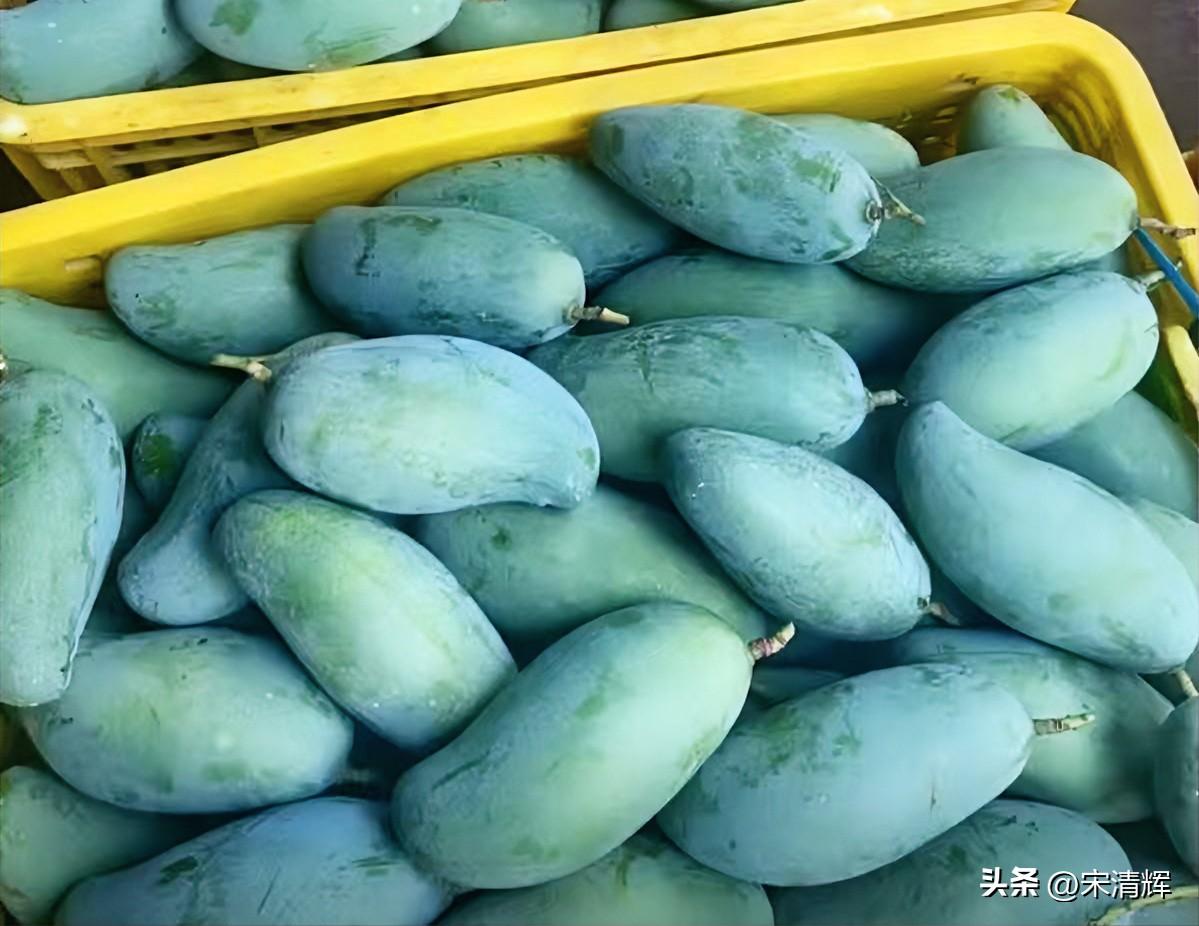（1389）：孩子，早上好。今晨天气炎热，气温29摄氏度，哪里像秋天，恐怕一年四