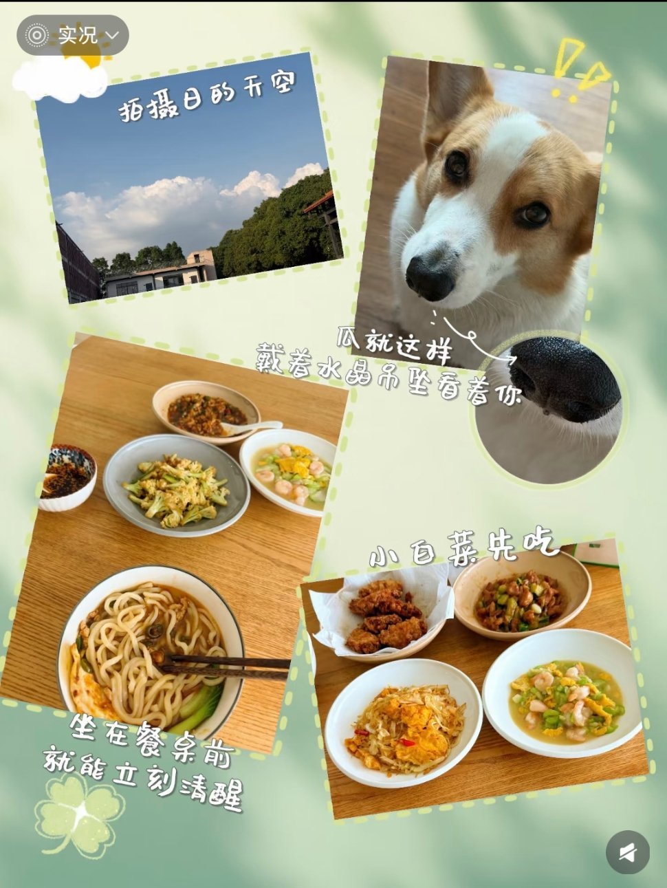 小白菜先吃 