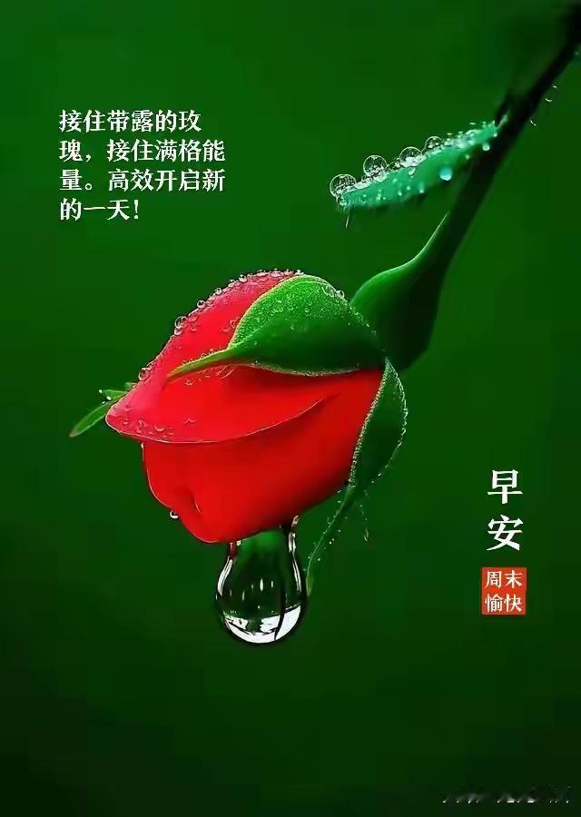 谷雨是春天写给夏天的信

[玫瑰][心][玫瑰]

谷雨，真的是很特别的存在，说
