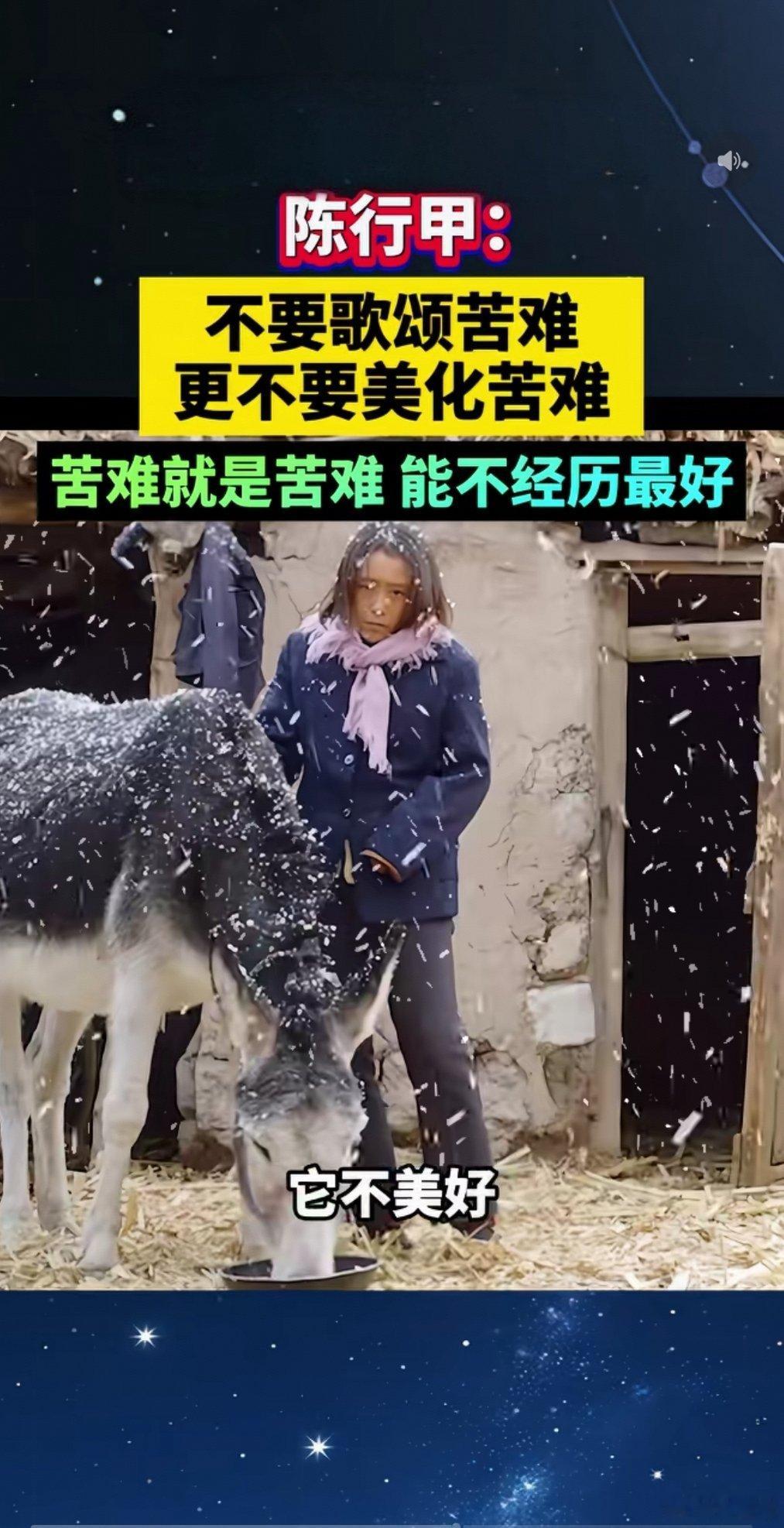 陈行甲：不要歌颂苦难，更不要美化苦难，苦难就是苦难，能不经历最好。我们不歌颂苦难