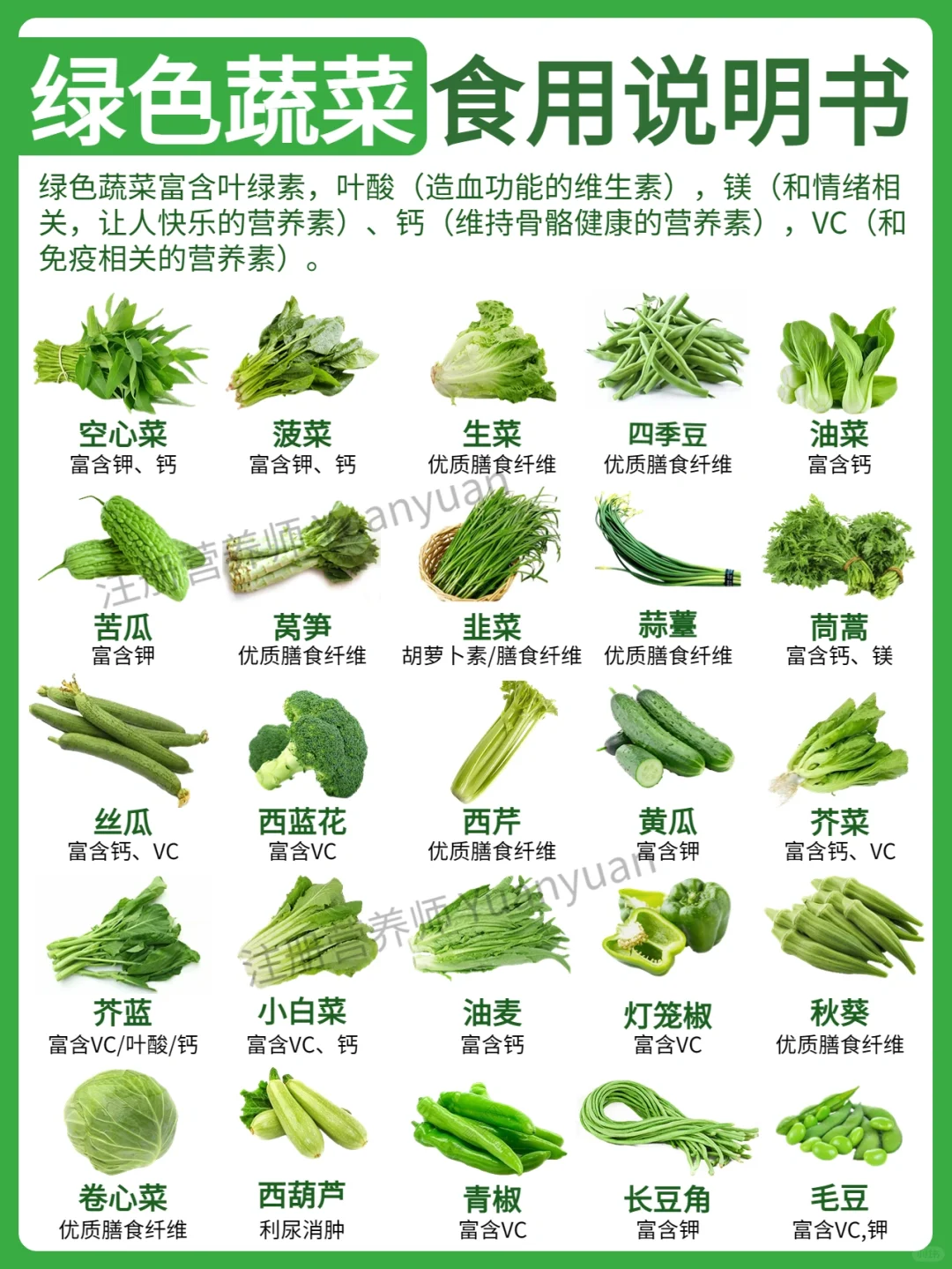 🥒绿色蔬菜 营养价值 食用说明