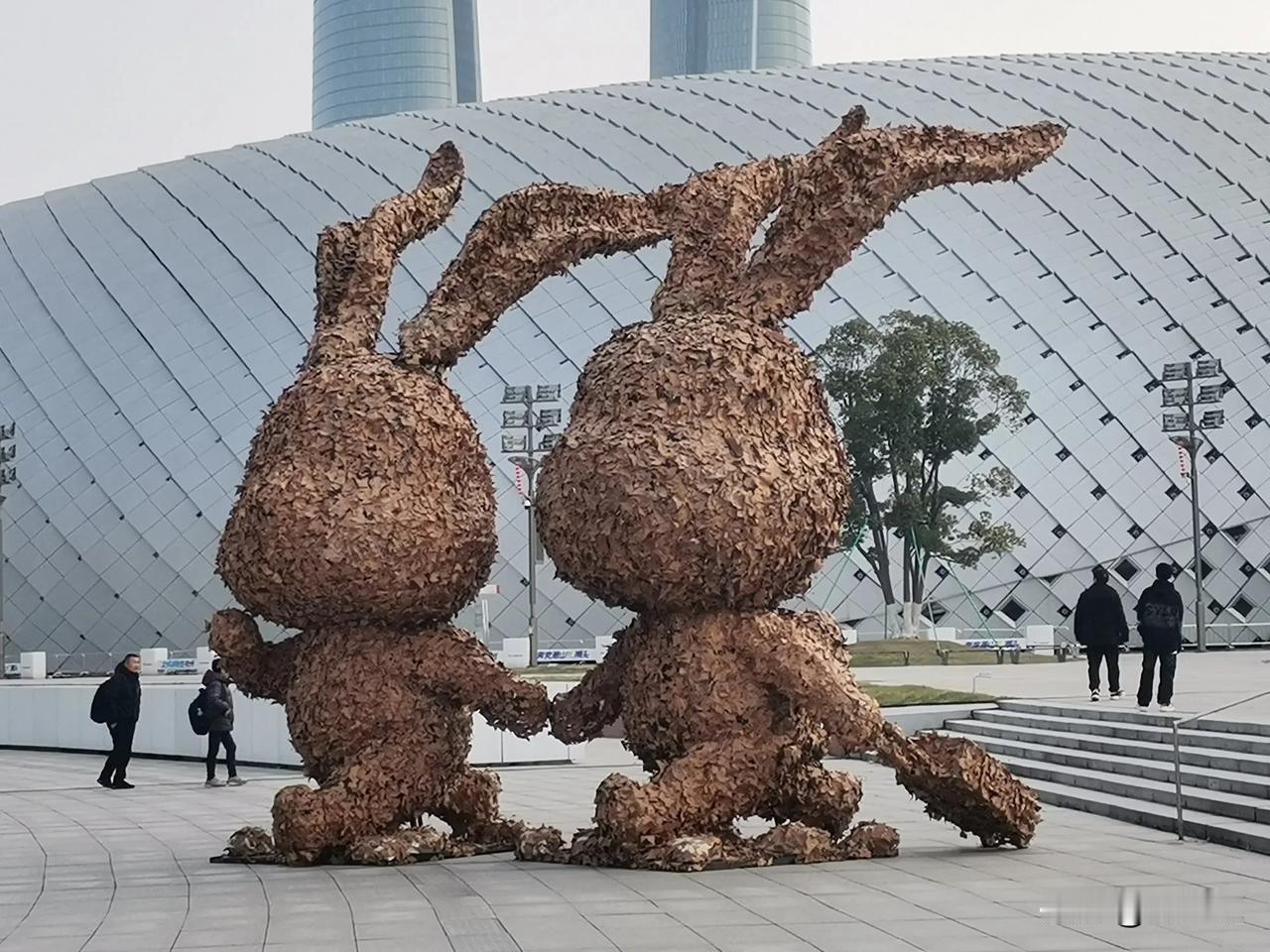 树叶做的雕塑，最初起源于中国美术学院，今天在杭州奥体中心也看到了，都是采用梧桐树