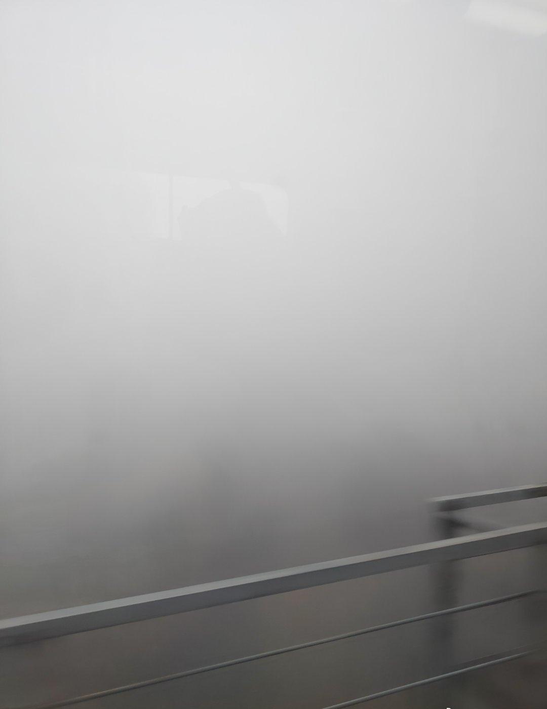 今天山东省内有大雾🌫️黄色预警
一路上无景可看
这下看不到秀秀家的良田了 ​​