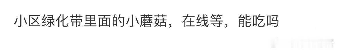 小区绿化带里面的小蘑菇能吃吗❓ ​​​