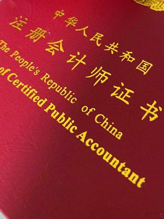 注会师跳槽甲方10个月赚6000万 堪称年度最强打工人！38岁注会丁阿静深耕天健