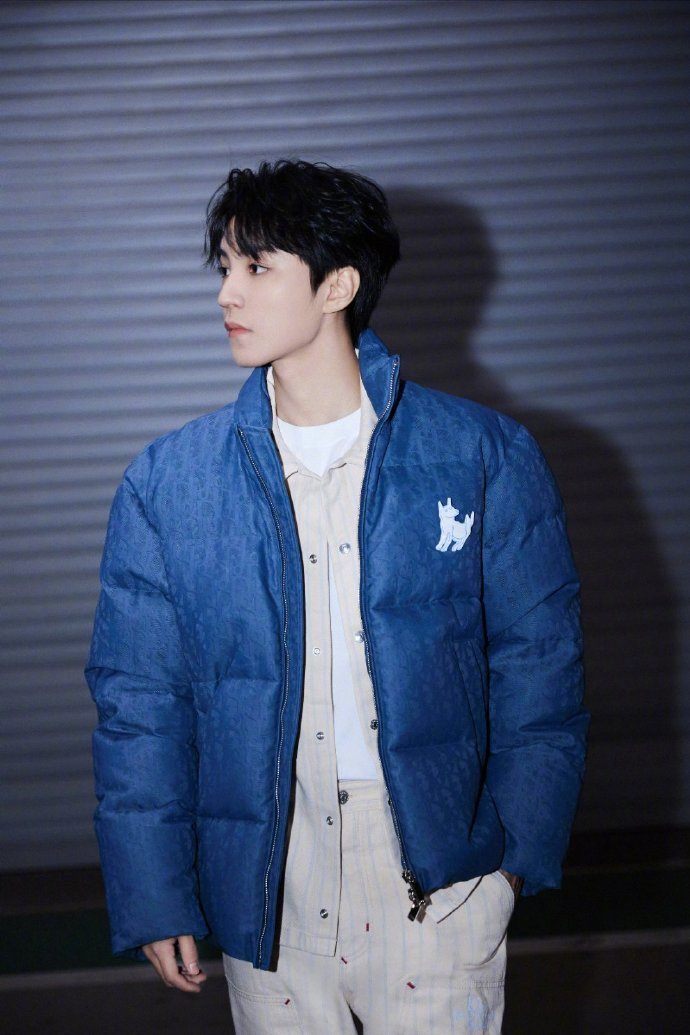 王俊凯巴黎时尚之旅  王俊凯看秀look  王俊凯巴黎时装周时尚之旅，是蓝色棉服