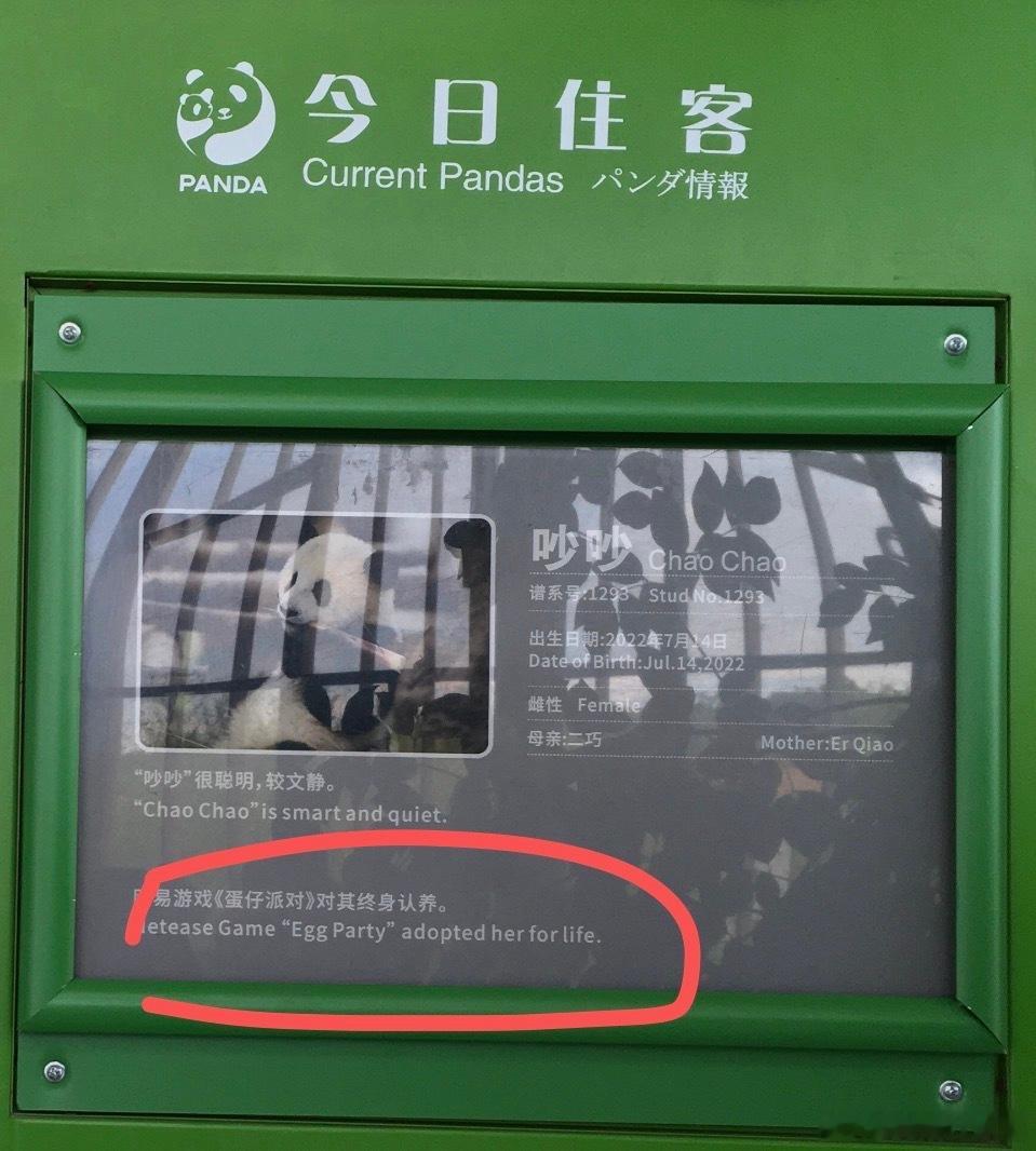 之前在成都拍的 都没注意过 刚刚刷🫘看到的我当时就拍了这一个牌子 