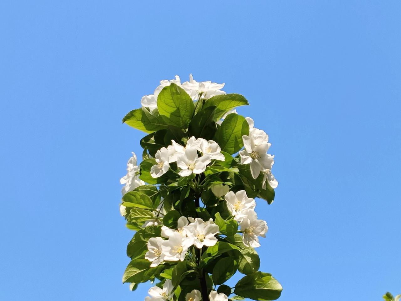 当你得了要命的病，你就知道一辈子太短，没了健康，你就没了一切主动的能力，一切归零