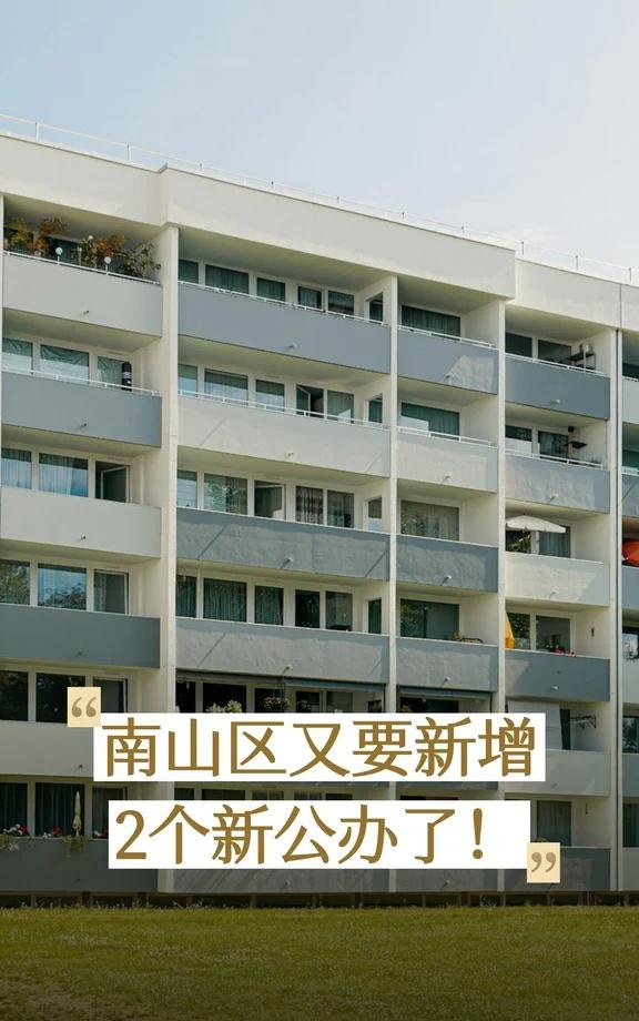 oi！有没有觉得南山越来越好上学了？
南山教育 深圳上学 南山幼升小 南山小升初