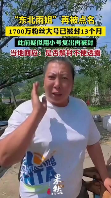东北雨姐这波小号复出，咋跟咱巷口卖煎饼的阿姨一模一样？

1700万粉的大号