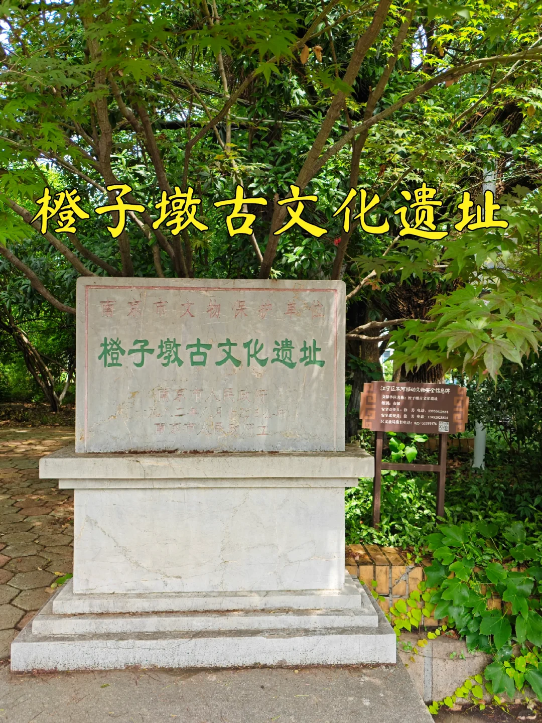 【南京访古】江宁橙子墩古文化遗址