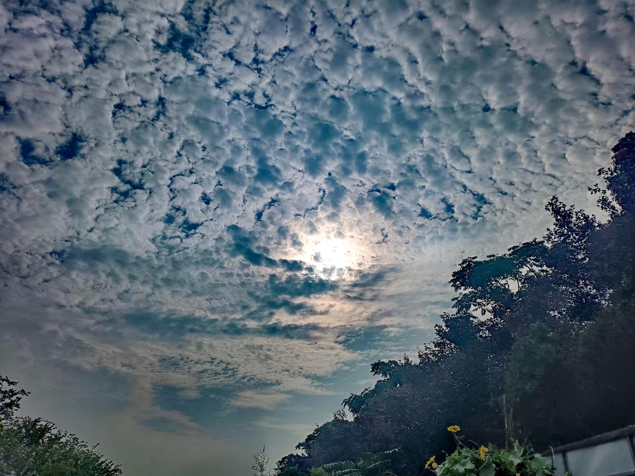 太阳被层层叠叠的鱼鳞云半遮半掩，光芒从云隙中顽强透出，仿佛在云海中挣扎着照亮人间
