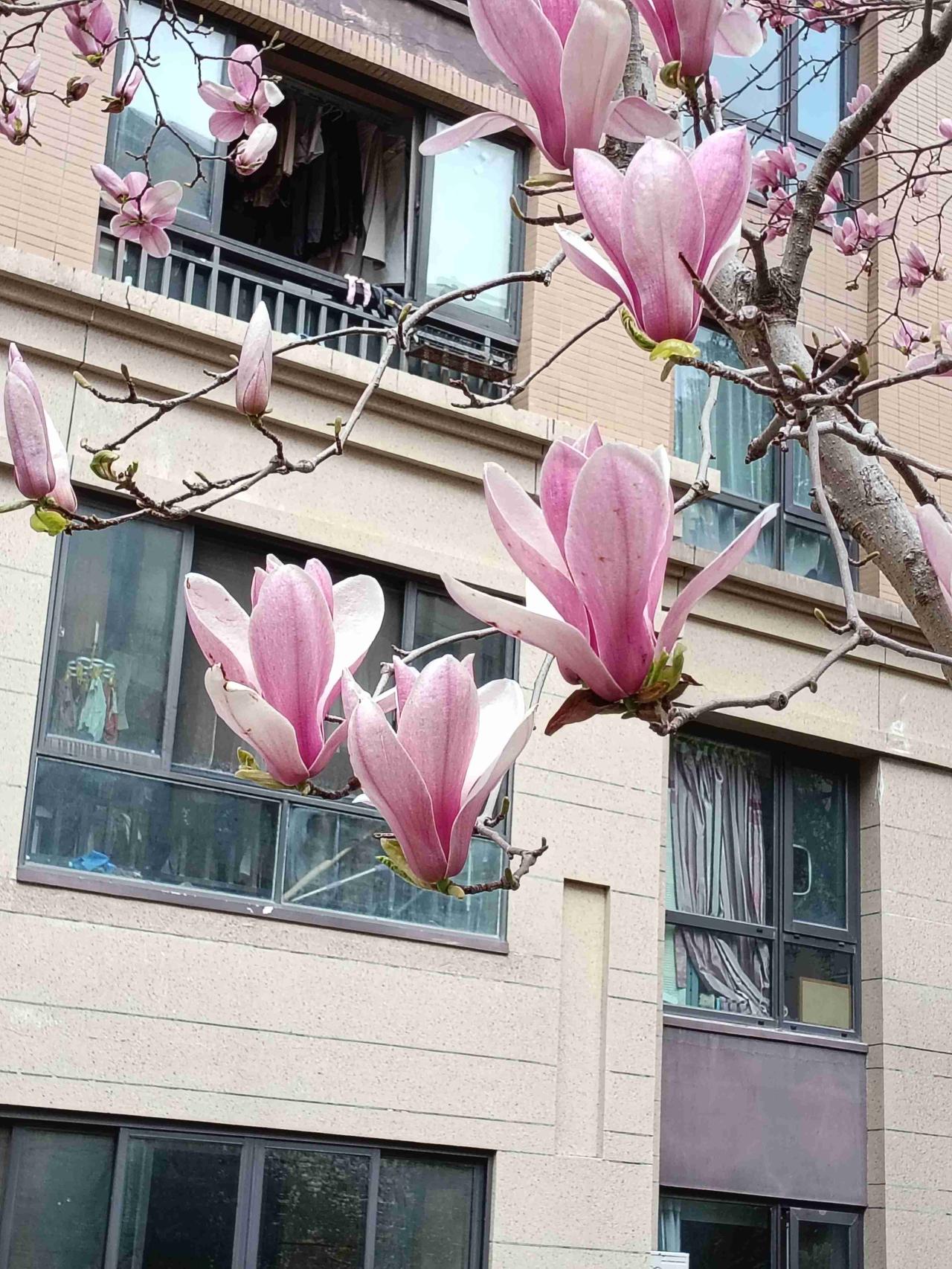 我的今日状态：😁轻松愉快
我这里的天气：☀️晴天