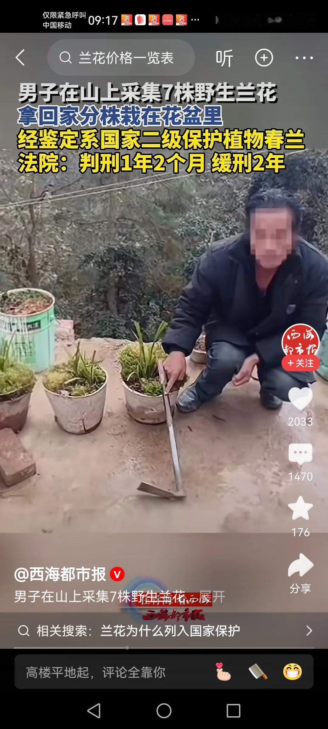 这个社会有的时候觉得有的事情还真的难也理解。一个男的去山上挖兰花回家去种在自己家