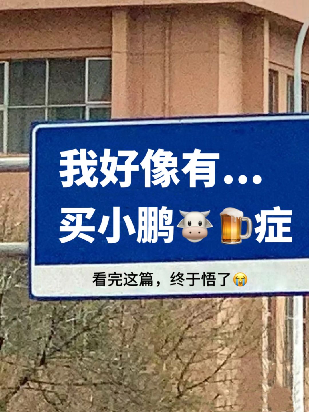 我好像有买小鹏🐮🍺症，年底买小鹏的进