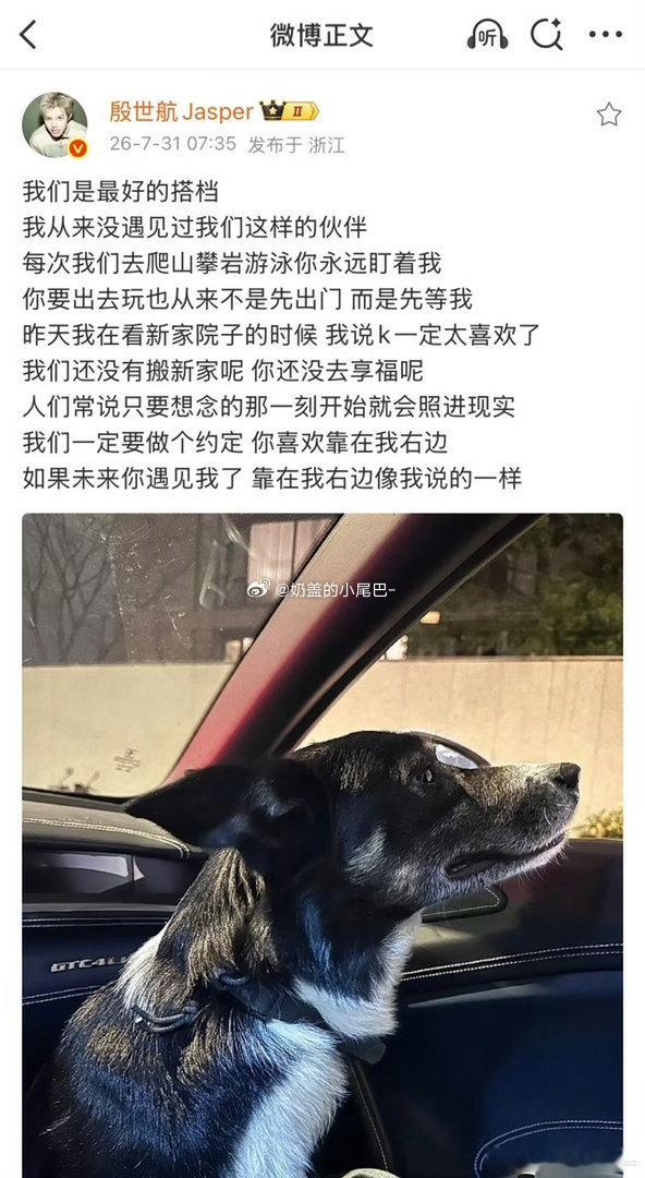 殷世航养的狗中暑去世了殷世航k哥去世了 殷世航养的狗K哥中暑去世了，殷世航痛哭发