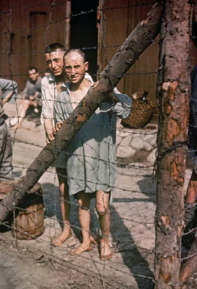 老照片欣赏： 1945年，徳国，布痕瓦尔德集中营； 2名犹太犯人站在铁丝网内可怜