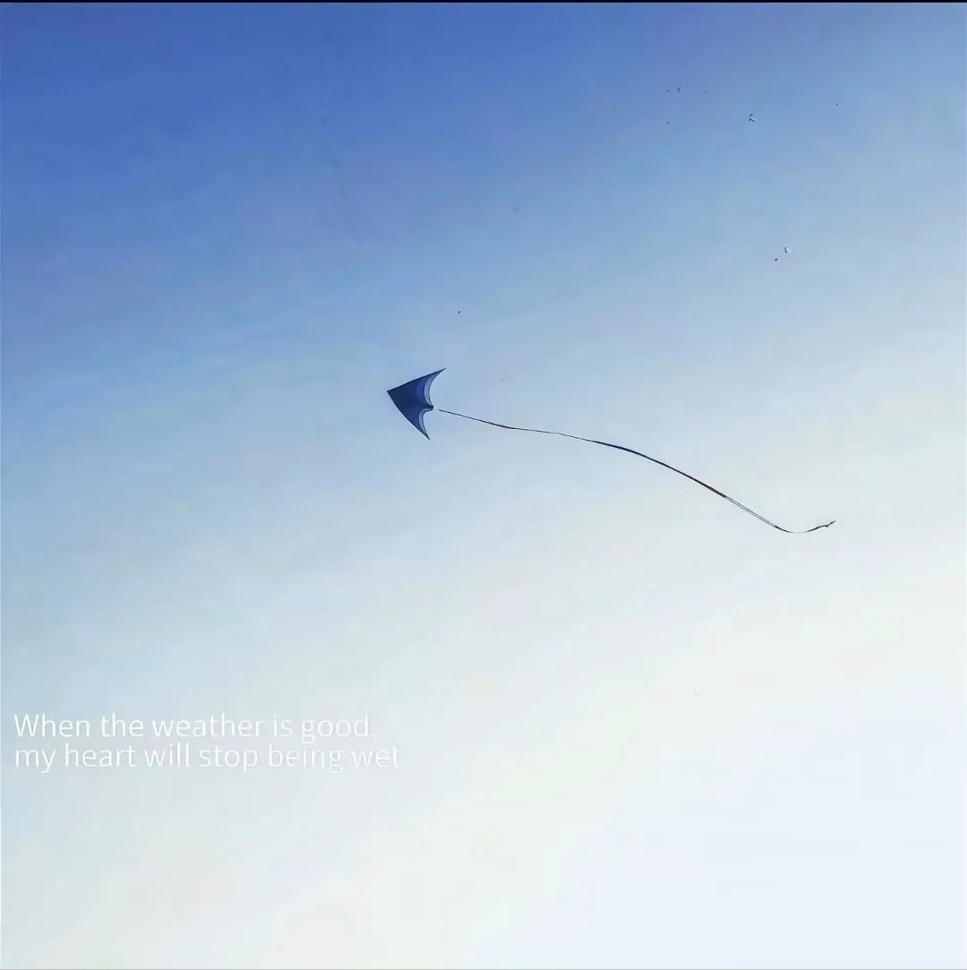 𝙎𝙝𝙖𝙧𝙚丨朋友圈背景图 