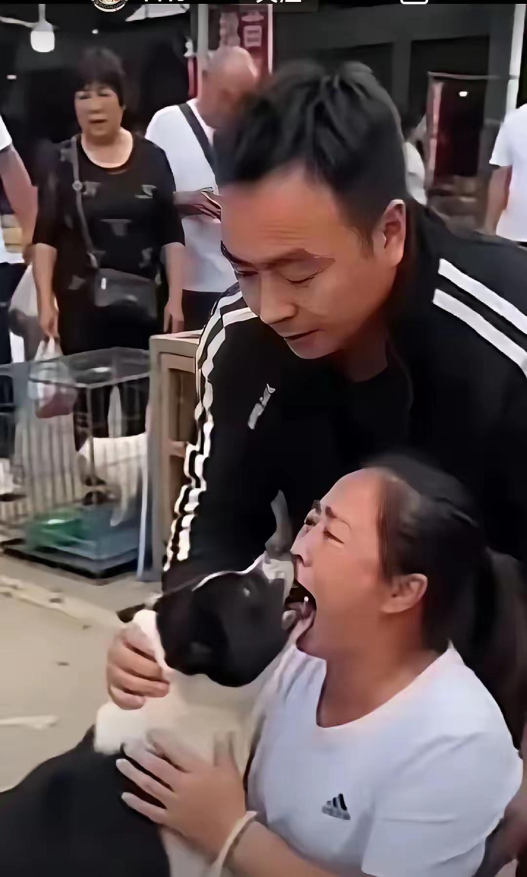给狗亲热的后果！
不是被狗咬就是存在感染狂犬病和其他病菌的风险‌，尤其口腔有破损