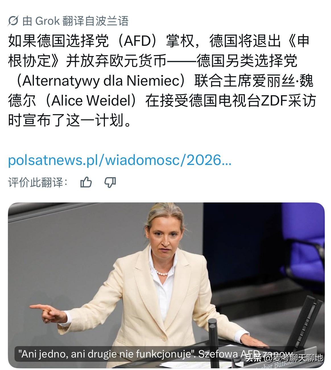 德国选择党（AfD）联合主席爱丽丝·魏德尔（Alice Weidel）在接受德国