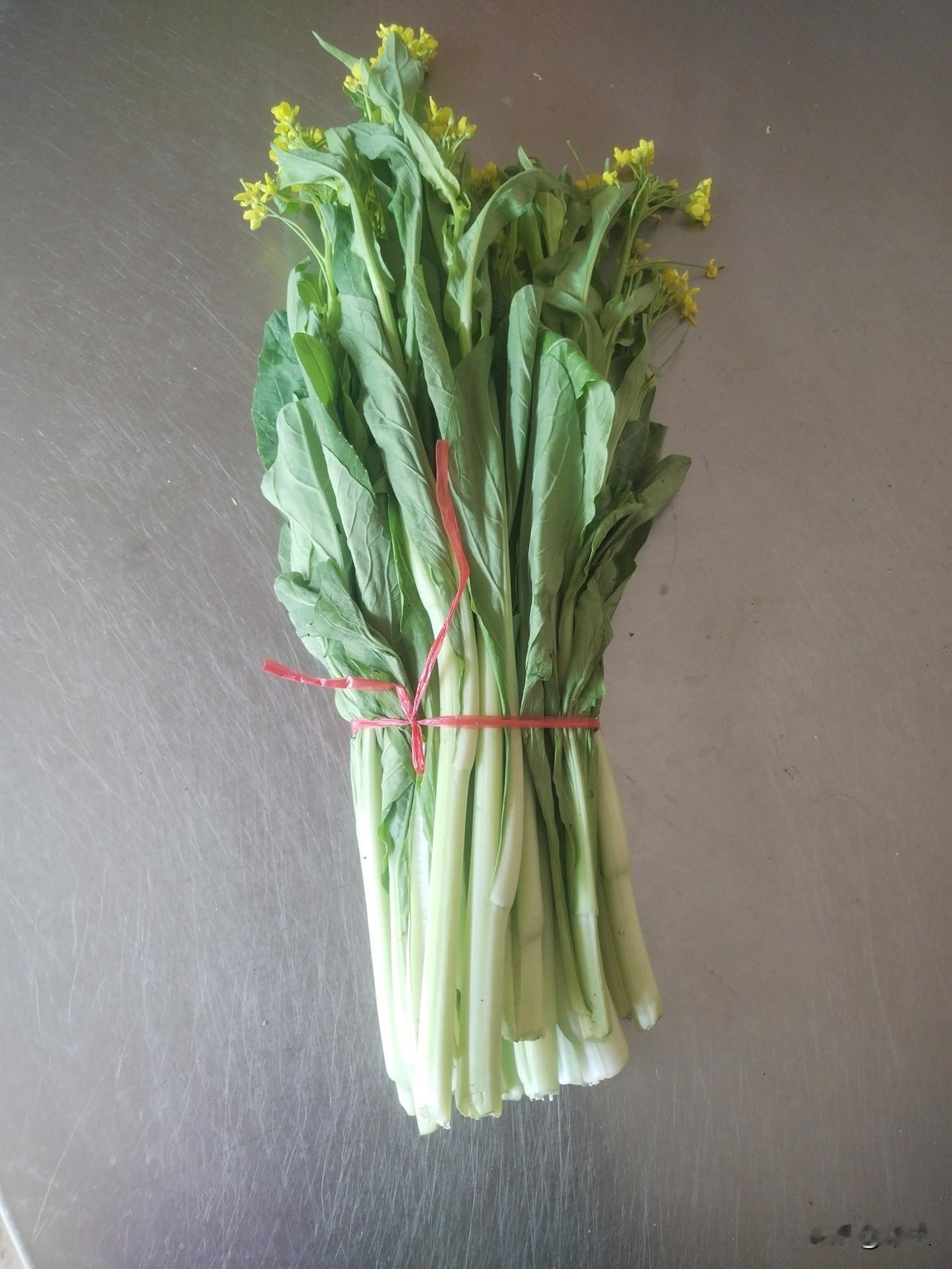 邻里温情，暖了岁月
       在咱这宁静的小村子里，日子就像山间潺潺流淌的溪