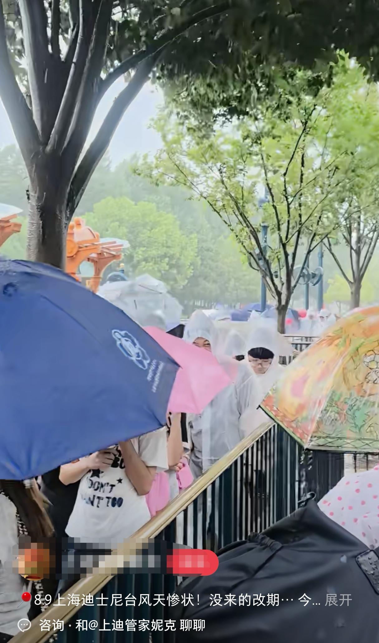 迪士尼就那么好玩吗？为何台风天还有那么多人排队？
 
很多人难以理解：明明台风预
