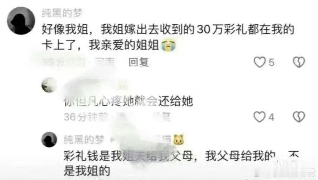 请还给你姐姐 ​​​