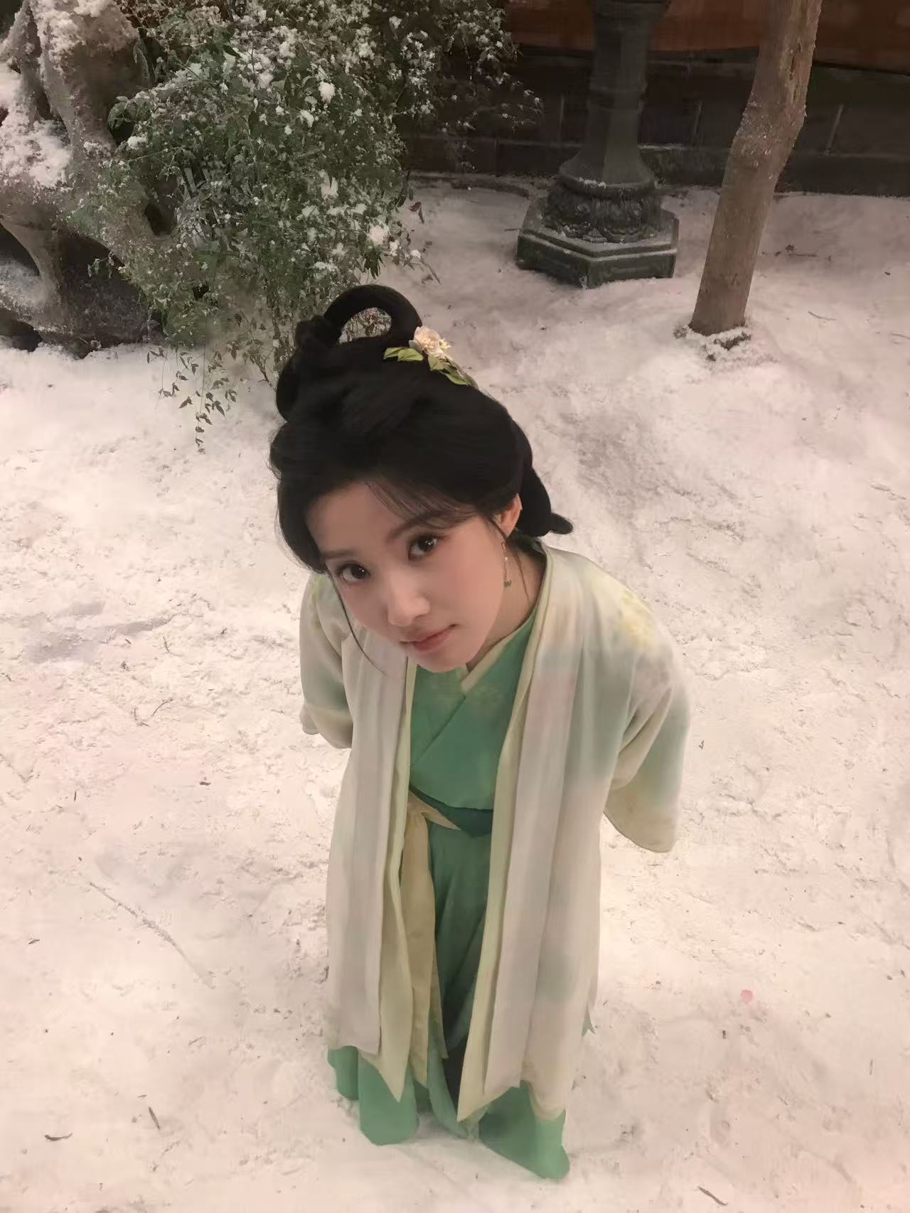 呆头鹅来了 