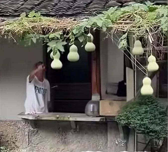 关于“紧急看护宝葫芦”的督办通知（加急）

尊敬的葫芦山老同志（爷爷）：

您好