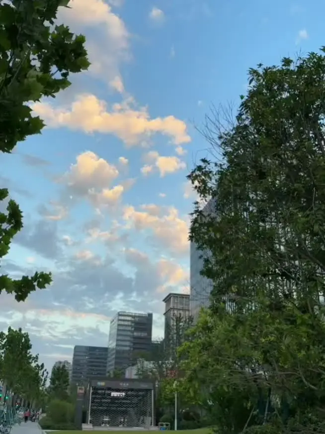 后来再也看不到晚霞