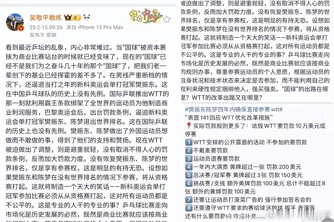 吴敬平炮轰国乒被资本裹挟  吴敬平曾鼓励樊振东活出自己 吴敬平与刘国梁决裂！王皓