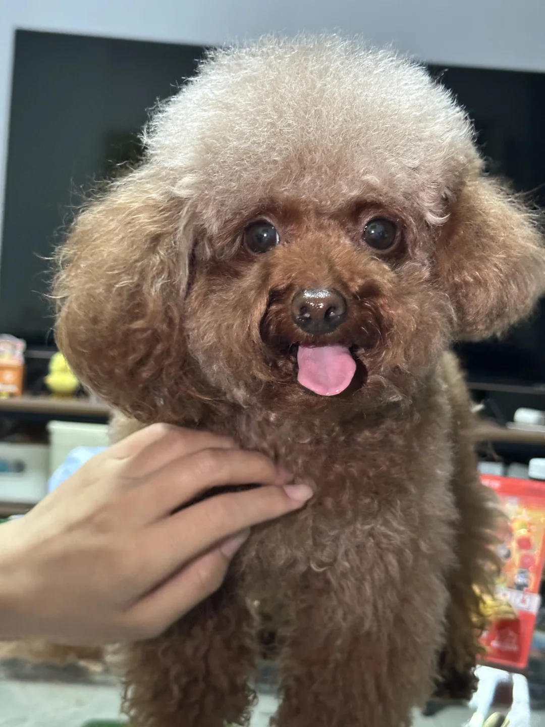 姨姨们，新剪的发型好不好看呀