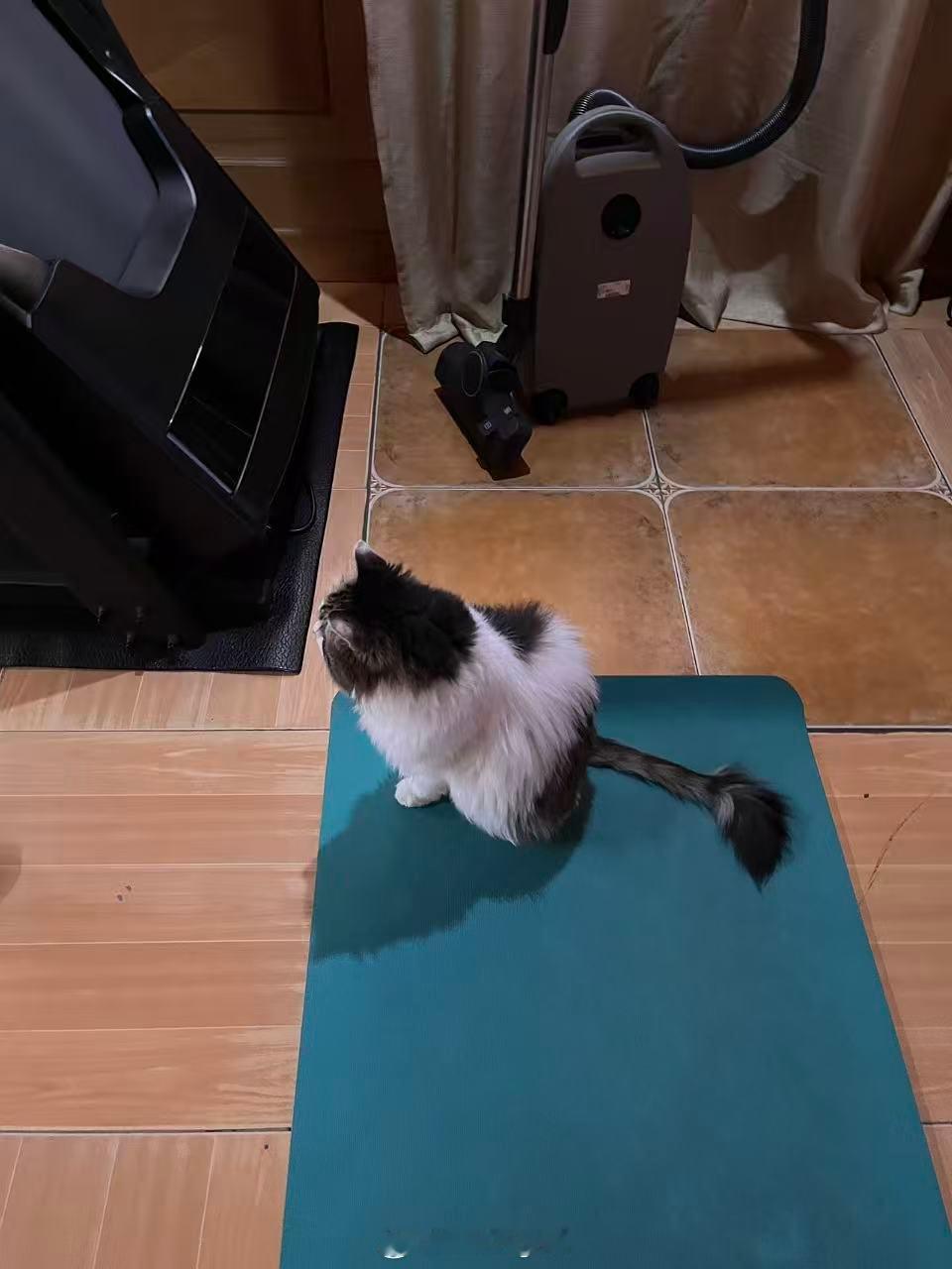 宝宝琪琪 ​​​