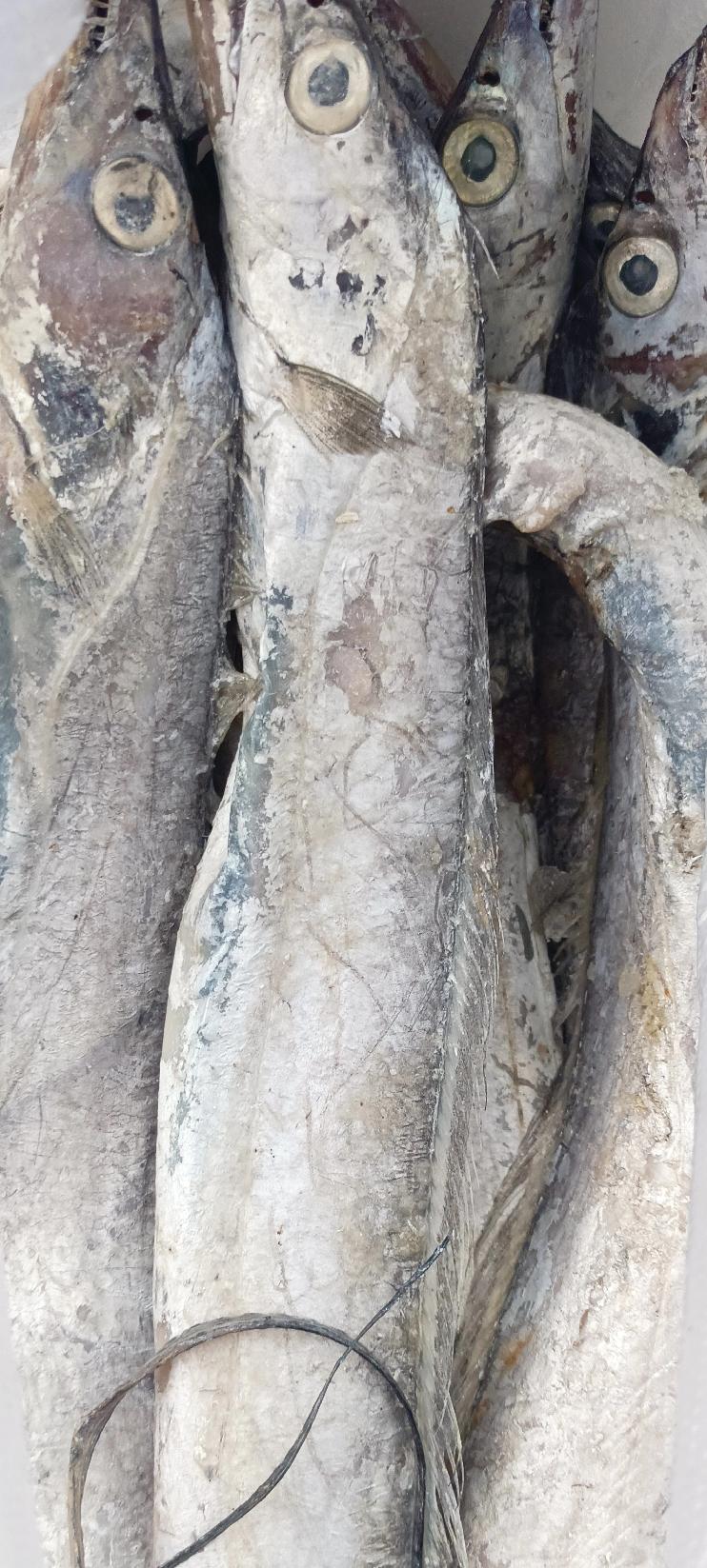 看一看我们这里的物价低不低？
今晚上三姑姐请客，让我们两口子去她们家吃饭。
二婚