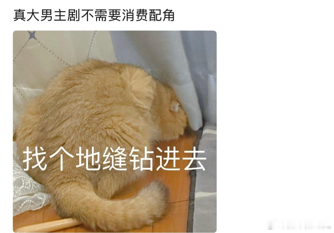 希望全世界都多一些真的靠自己扛的大男主和大女主剧，压的住桌子，不消费任何配角（靠