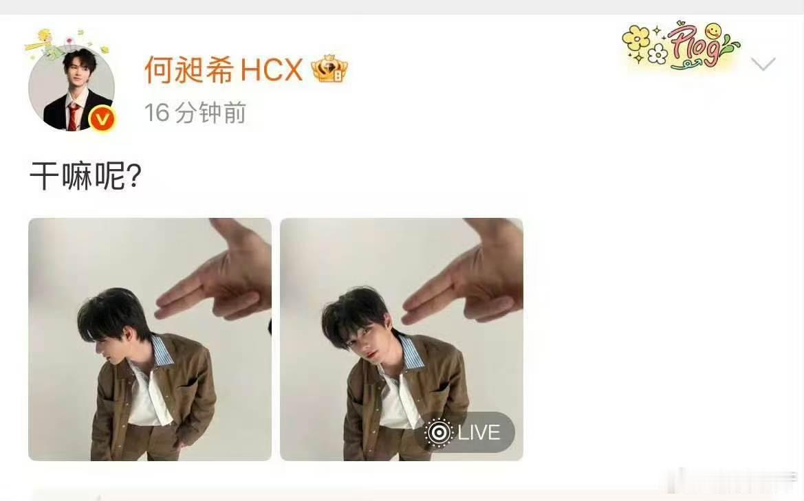 何昶希何衍朝520互拍隔空互拍氛围感十足，一举一动尽显默契，这份甜蜜瞬间治愈满满