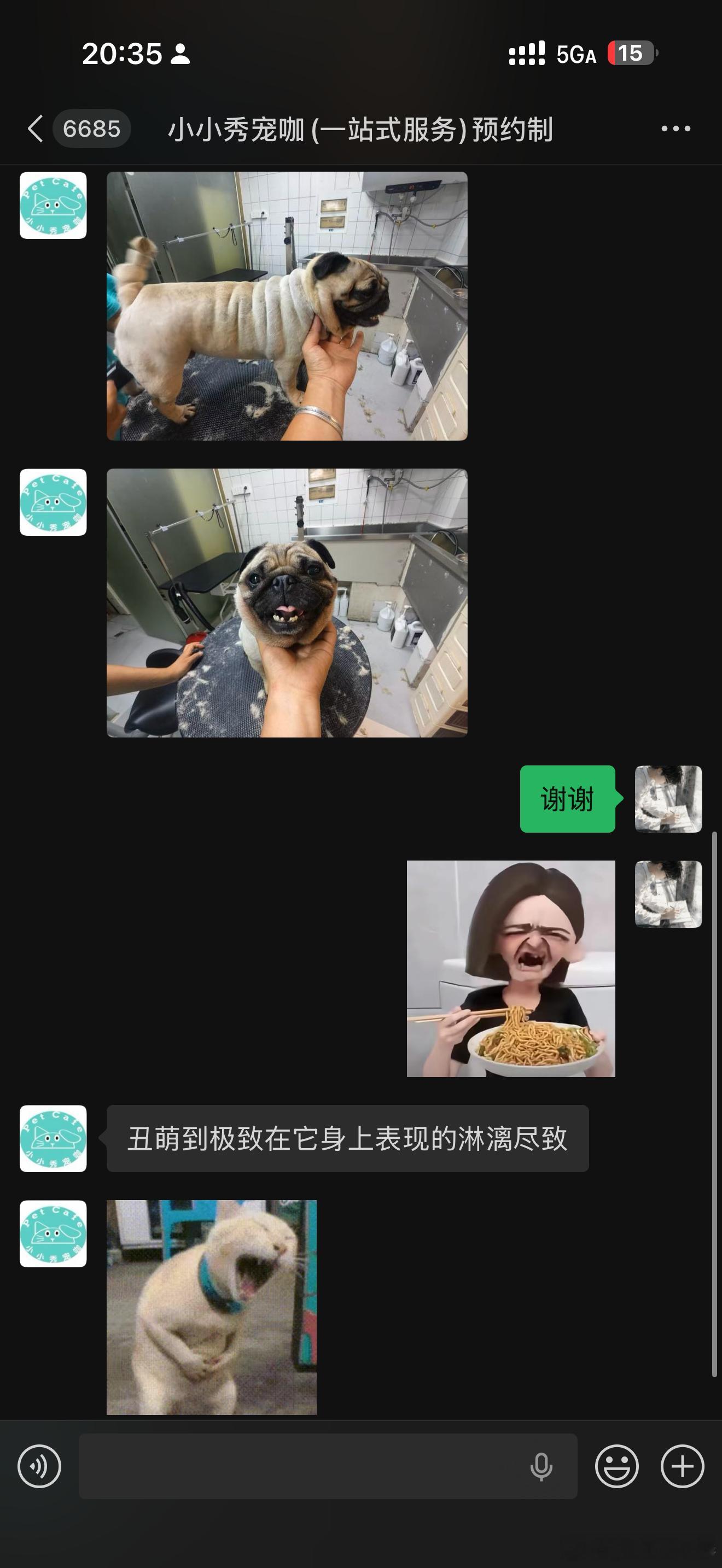 谁喜欢丫丫 ​​​