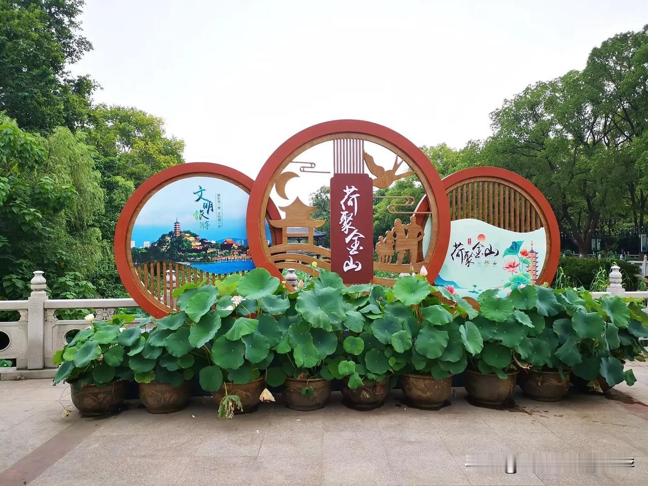 金山荷