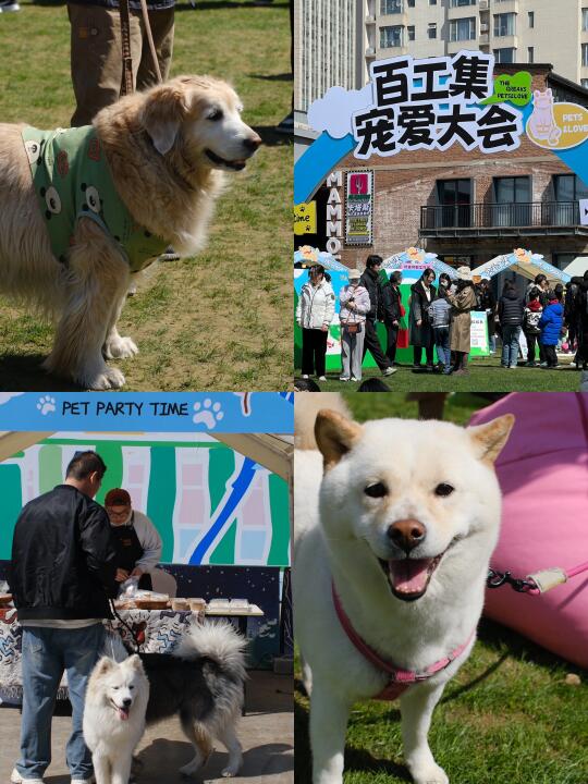 济南人接到通知了吗！！！···宠物市集来了🦮